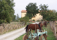 Clicca per ingrandire !!