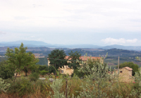 Clicca per ingrandire !!